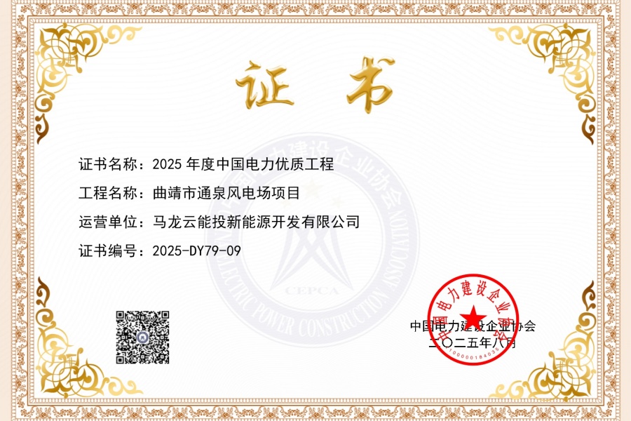 喜訊！通泉風(fēng)電場(chǎng)獲評(píng) 中國(guó)電力優(yōu)質(zhì)工程